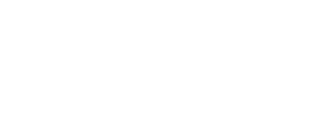 LYNX Tintas e Complementos